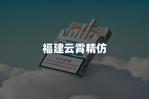 福建云霄精仿
